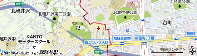 神奈川県横浜市西区南軽井沢3周辺の地図