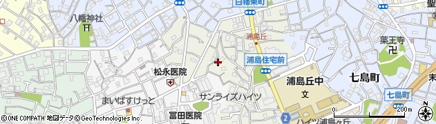 神奈川県横浜市神奈川区白幡東町周辺の地図