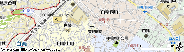 神奈川県横浜市神奈川区白幡上町13周辺の地図