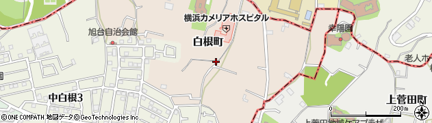 神奈川県横浜市旭区白根町周辺の地図