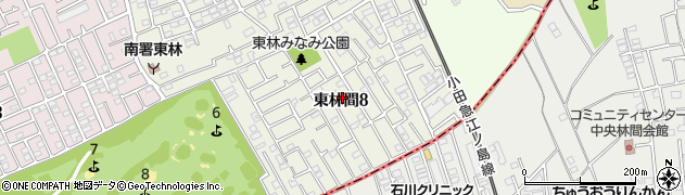 神奈川県相模原市南区東林間8丁目周辺の地図