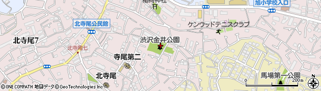 渋沢金井公園周辺の地図