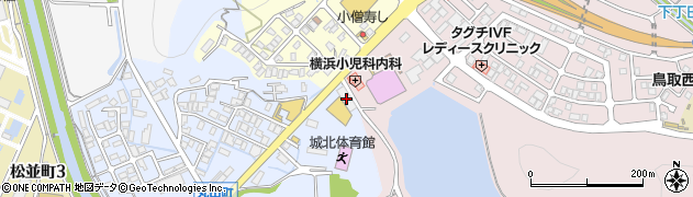 大王 鳥取周辺の地図