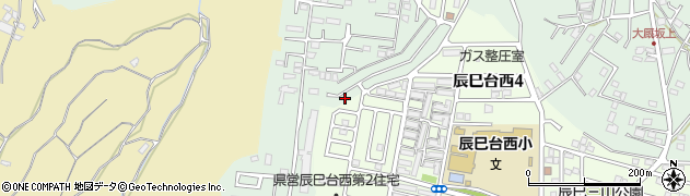 辰巳台公園周辺の地図