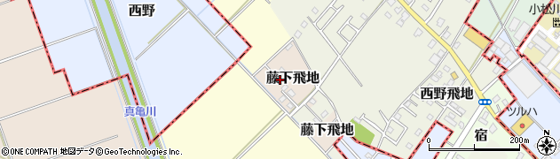 千葉県東金市藤下飛地周辺の地図