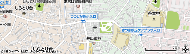 神奈川県横浜市青葉区つつじが丘30周辺の地図