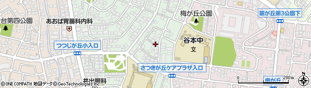 神奈川県横浜市青葉区つつじが丘28周辺の地図