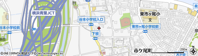 神奈川県横浜市青葉区市ケ尾町564周辺の地図