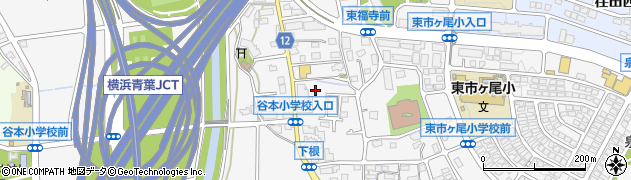 神奈川県横浜市青葉区市ケ尾町599周辺の地図