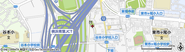 神奈川県横浜市青葉区市ケ尾町643周辺の地図