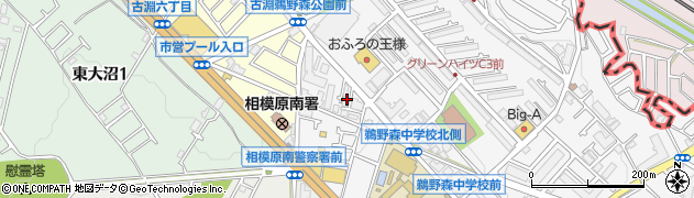 神奈川県相模原市南区鵜野森1丁目3周辺の地図