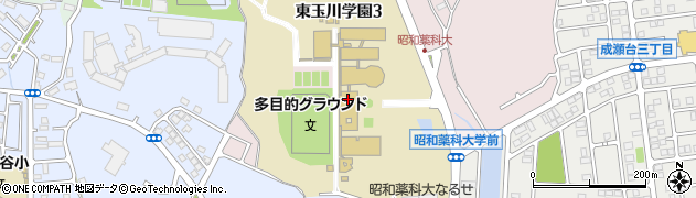 東京都町田市東玉川学園3丁目周辺の地図