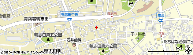 神奈川県横浜市青葉区鴨志田町811周辺の地図