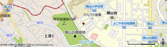 神奈川県相模原市中央区横山台2丁目20周辺の地図