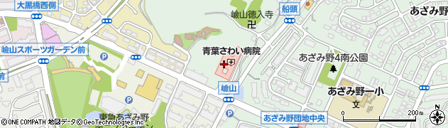 神奈川県横浜市青葉区元石川町4300周辺の地図