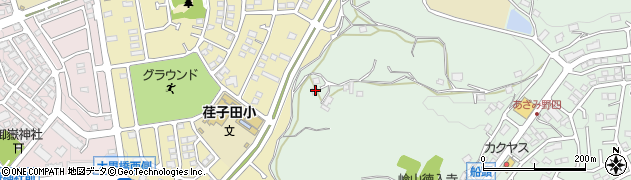 神奈川県横浜市青葉区元石川町4221周辺の地図