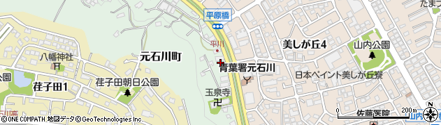 神奈川県横浜市青葉区元石川町3543周辺の地図