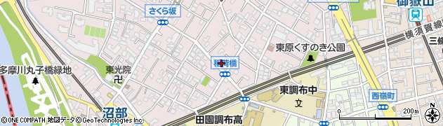 東京都大田区田園調布本町16-11周辺の地図