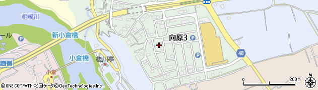 神奈川県相模原市緑区向原3丁目12周辺の地図