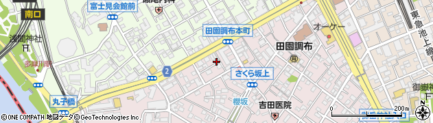 東京都大田区田園調布本町45周辺の地図