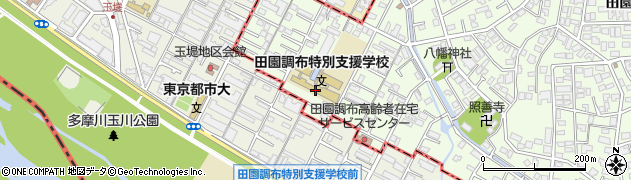 東京都立田園調布特別支援学校周辺の地図