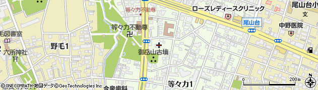 東京都世田谷区等々力1丁目19周辺の地図