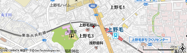 東京都世田谷区上野毛周辺の地図