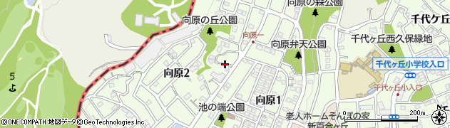神奈川県川崎市麻生区向原周辺の地図