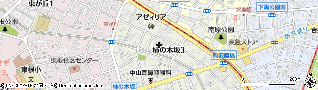 東京都目黒区柿の木坂3丁目5周辺の地図