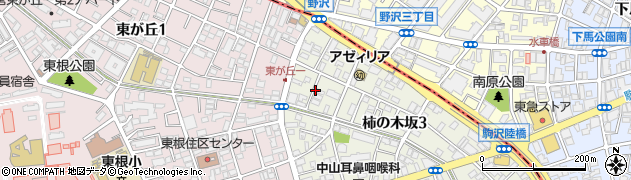 東京都目黒区柿の木坂3丁目6周辺の地図