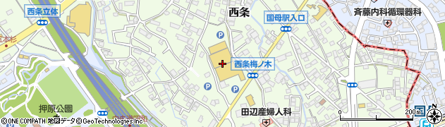 カインズＦＣ甲府昭和店周辺の地図