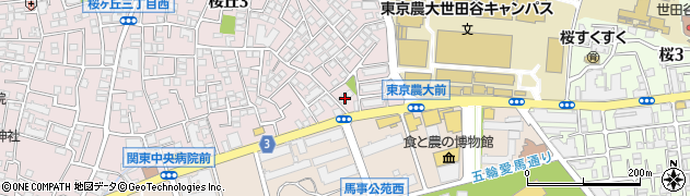 東京都世田谷区桜丘3丁目5周辺の地図