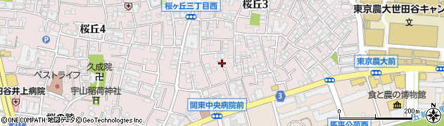 東京都世田谷区桜丘3丁目30周辺の地図
