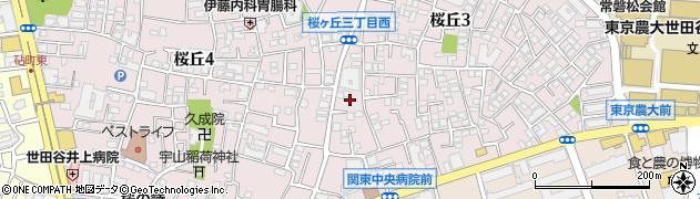 東京都世田谷区桜丘3丁目29周辺の地図