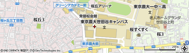 東京農業大学　エクステンションセンター周辺の地図