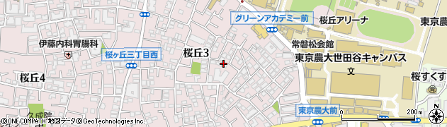東京都世田谷区桜丘3丁目17周辺の地図