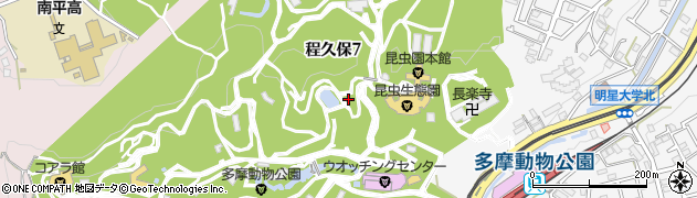 最高の花の画像