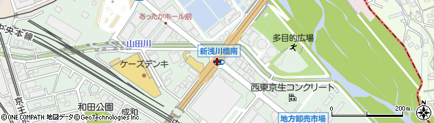 新浅川橋南周辺の地図
