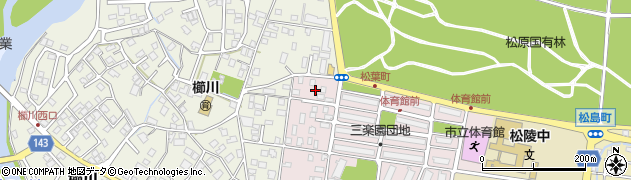福井県敦賀市松葉町31周辺の地図
