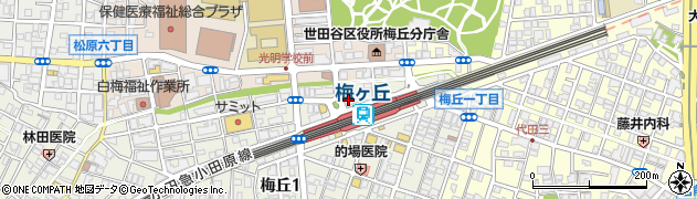 株式会社ワイズマート　梅ヶ丘店周辺の地図