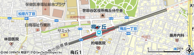 東京都世田谷区梅丘1丁目32周辺の地図
