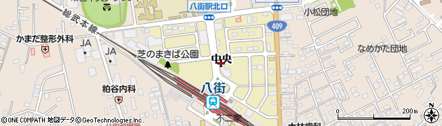 千葉県八街市中央周辺の地図