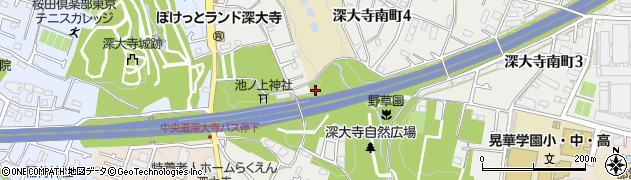 池ノ上橋周辺の地図