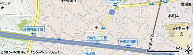 東京都府中市分梅町周辺の地図