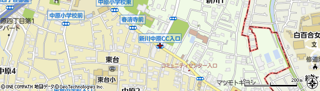新川・中原ＣＣ入口周辺の地図