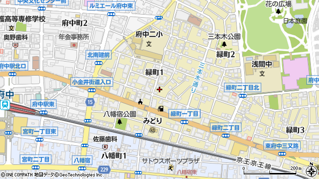 〒183-0006 東京都府中市緑町の地図