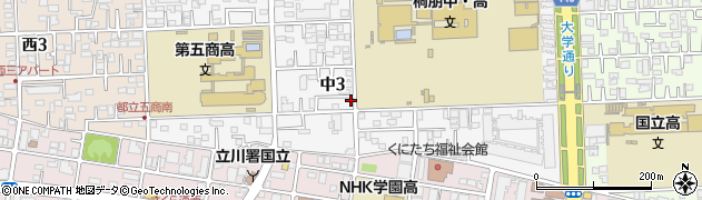 東京都国立市中3丁目6-10周辺の地図