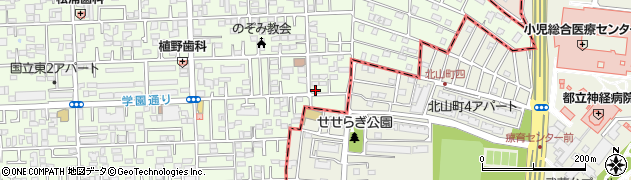 東京都国立市東3丁目19-24周辺の地図