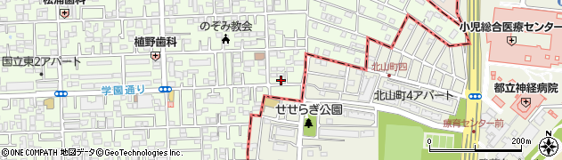 東京都国立市東3丁目19-4周辺の地図