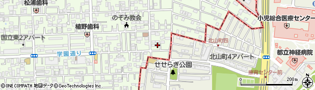 東京都国立市東3丁目19-5周辺の地図